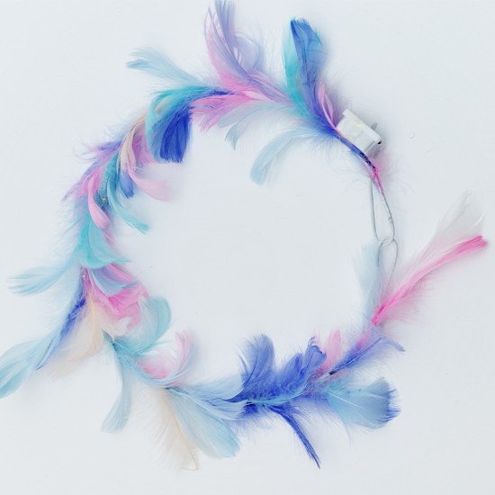 Feather wreath light