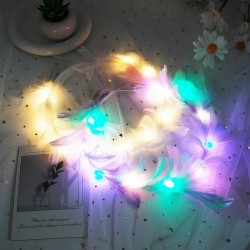 Feather wreath light