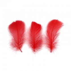 Colorful feather, 100pcs