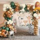 Balloon arch set, baby shower, birthday party, wedding, celebrations, 0013