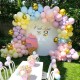 Balloon arch set, baby shower, birthday party, wedding, celebrations, 0062