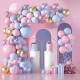 Balloon arch set, baby shower, birthday party, wedding, celebrations, 0065